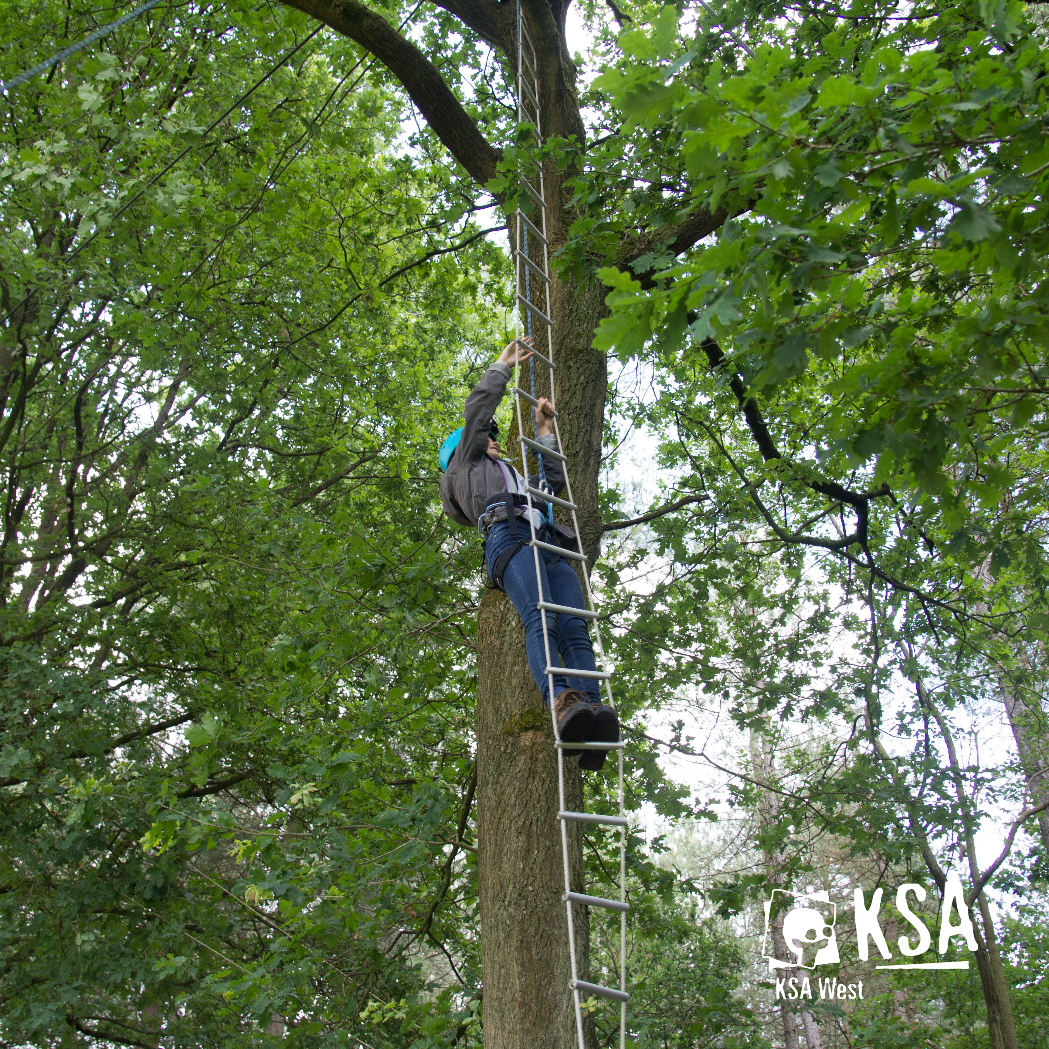 Een deelnemer klimt in een boom om van de kabelbaan te gaan