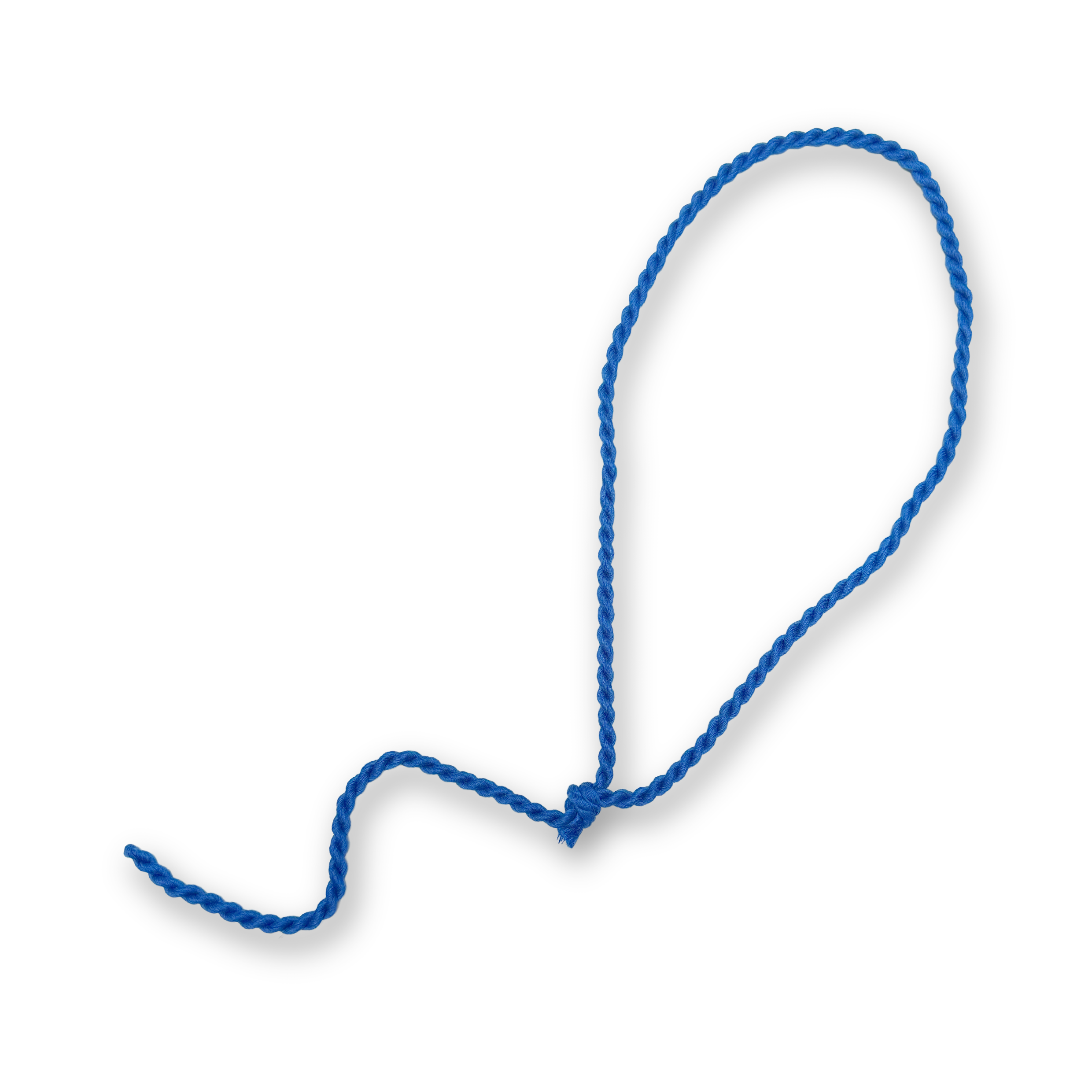 Blauw fluitkoord