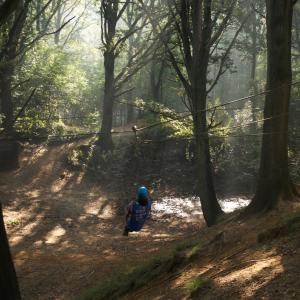 in de vrije natuur afdalen van een kabelbaan