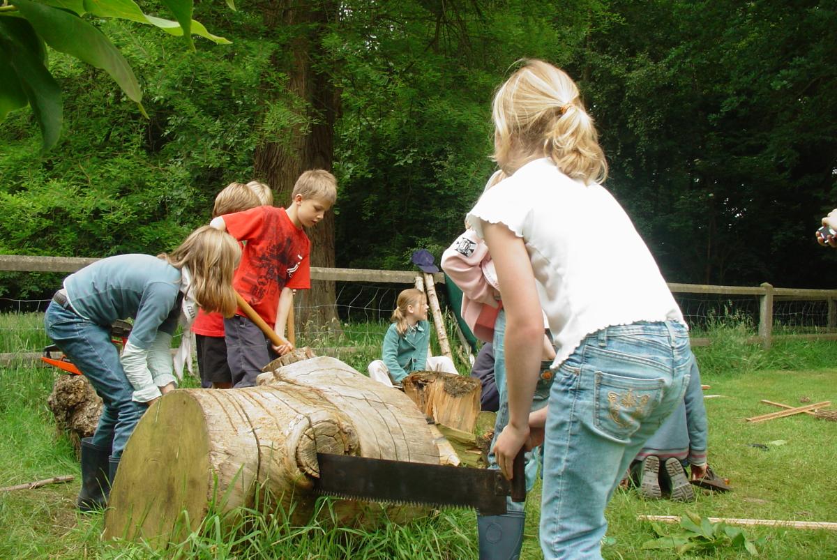Kinderen die een boomstronk aan het zagen zijn.